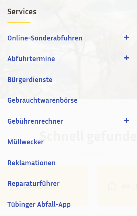 Screenshot Hauptmenü: Menüpunkte unter Services